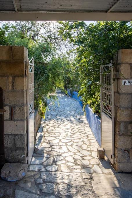 Secret Garden, A Little Paradise Of Tranquility. * Lepidha