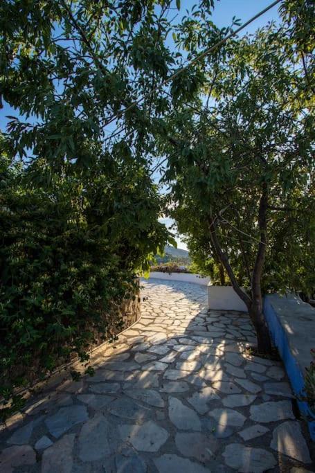 Secret Garden, A Little Paradise Of Tranquility. Lepidha